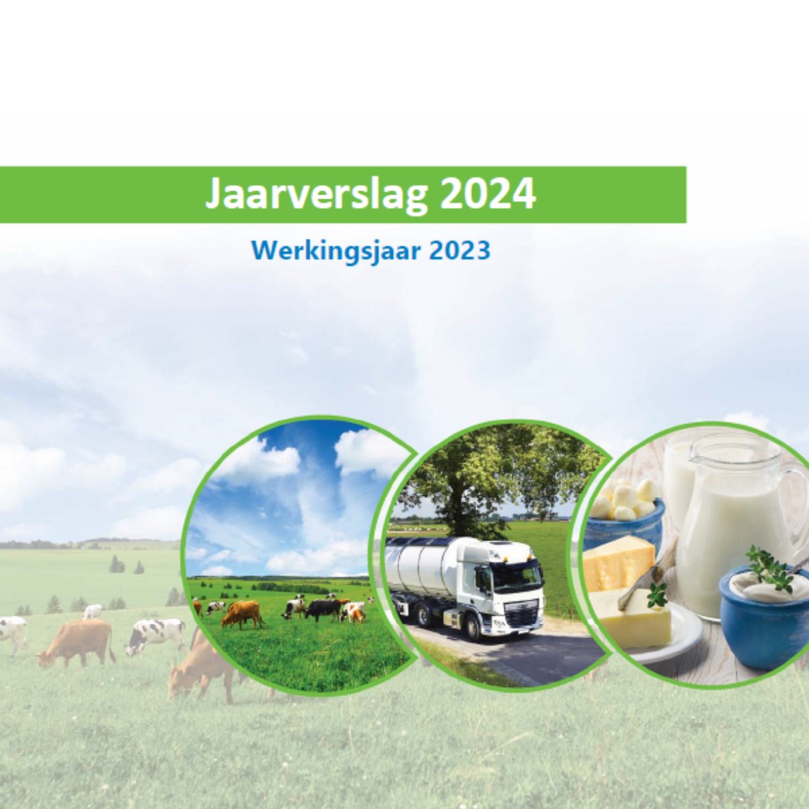Heb je ons 📈 economisch jaarverslag 📉 al gezien? 
Het puilt uit van relevante zuivelcijfers van België, Europa en zelfs wereldwijd. 
 Meer weten? Check zeker onze website
bcz-cbl.be/nl/jaarverslag…