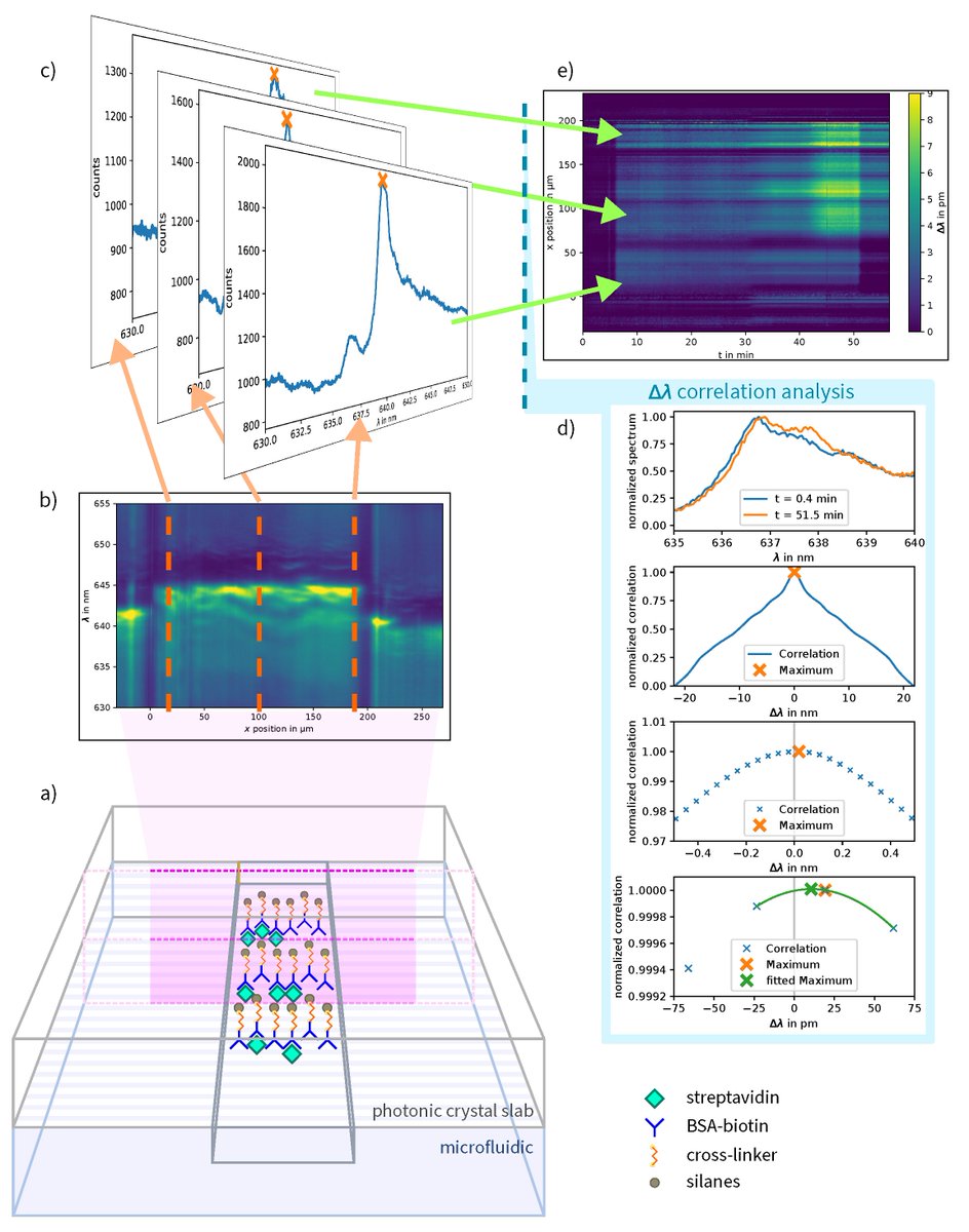 Sensors_MDPI's tweet image. Spatially Resolved Protein Binding Kinetics Analysis in Microfluidic Photonic Crystal Sensors
mdpi.com/1424-8220/23/1…
#photoniccrystalbiosensor #spectralanalysis #microfluidics #diffusion #biosensor
