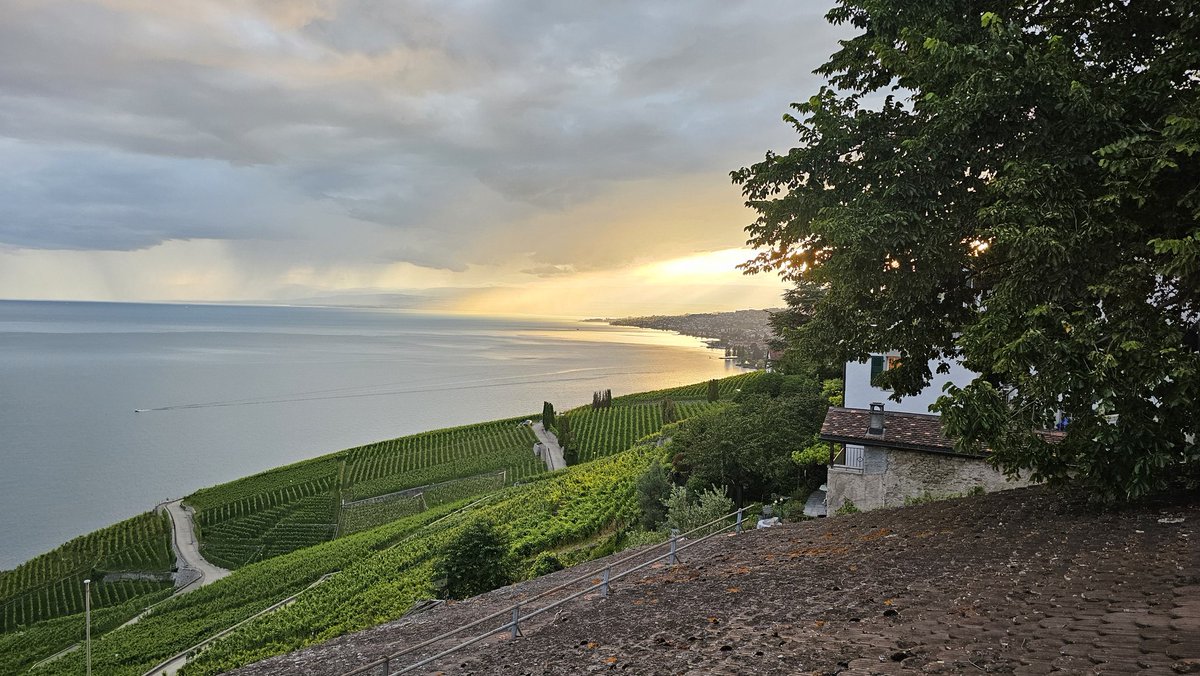 Nicolas Place tweet media