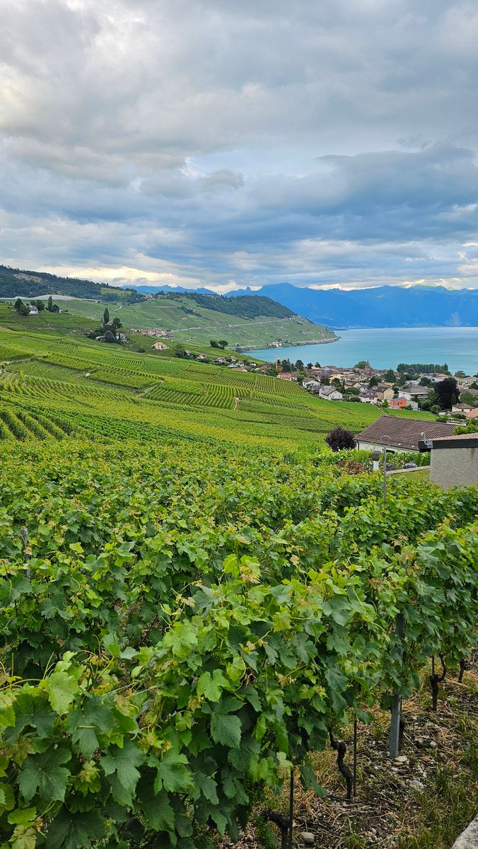 Nicolas Place tweet media