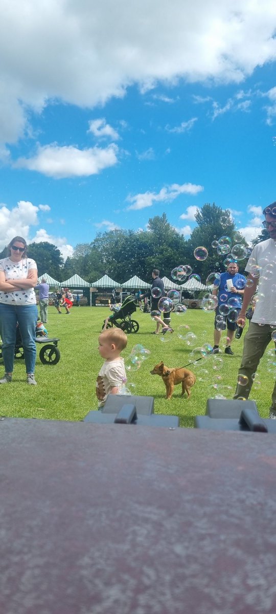 Outspoken Cycles tweet media