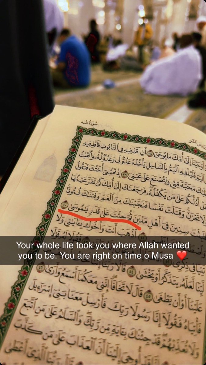 🍁 Guywithlibrary (retired) tweet media