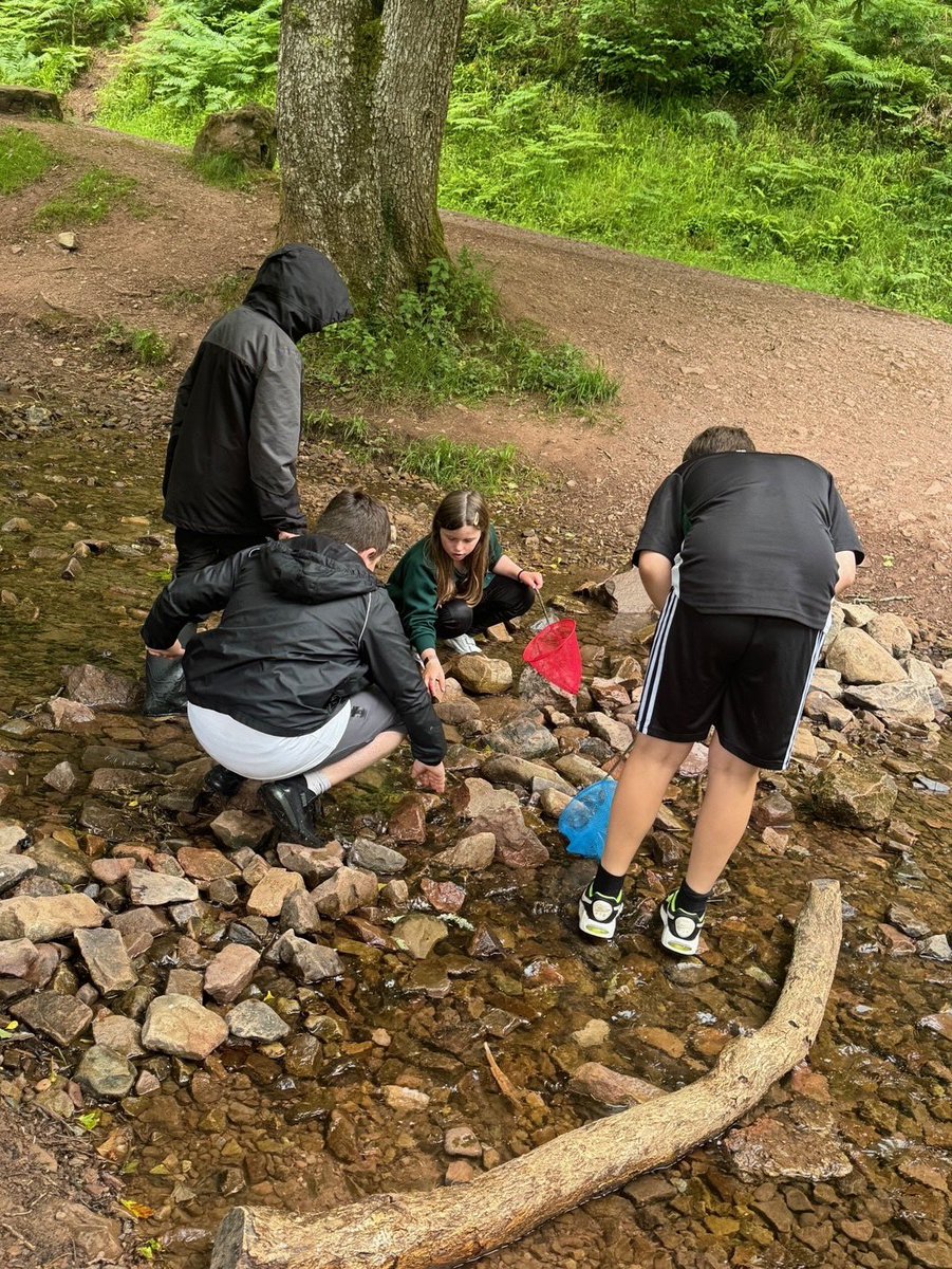 Here are a few moments from KS2's afternoon at Greatwood - steep hills to run down and climb, a picnic in the sunshine, paddling in the stream and catching shrimps in our nets. We had a wonderful afternoon! ☀️#tls #thelevelsschool #KS2