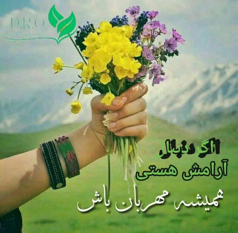 نوی فصل tweet media