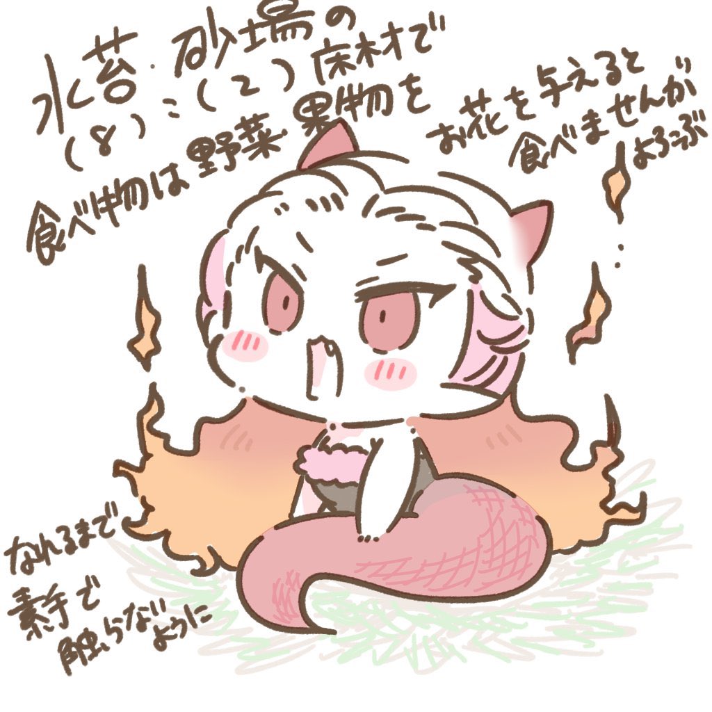 竜な関裕美を飼育したい 