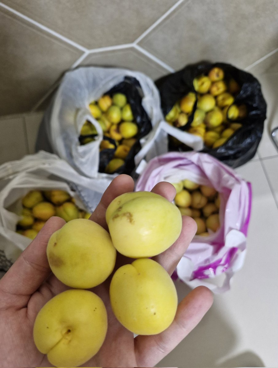 Malatyada temmuz ayında sıradan bir fizyoterapi ünitesi..