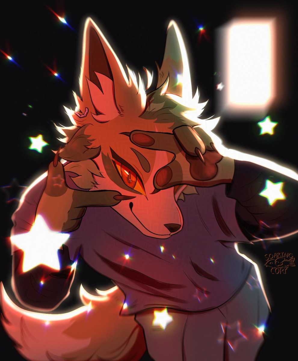 [ SPOTLIGHT ! ] 📸🌟