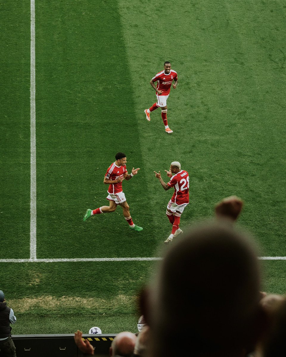 nffcpictures's tweet image. 