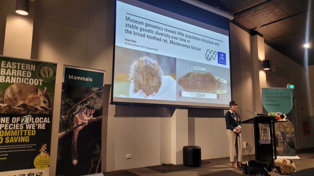 Dr Marissa Parrott tweet media