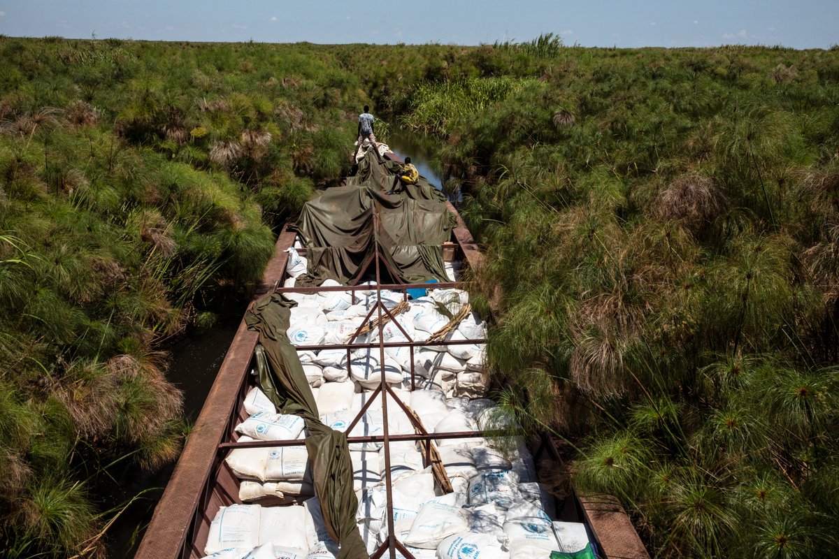 WFP_SouthSudan's tweet photo. The Sudd is one of the largest wetlands in the world

@WFP has been opening waterways and river routes to make sure we can still get food to people who need it most in #SouthSudan https://t.co/iV2zu8XnYT