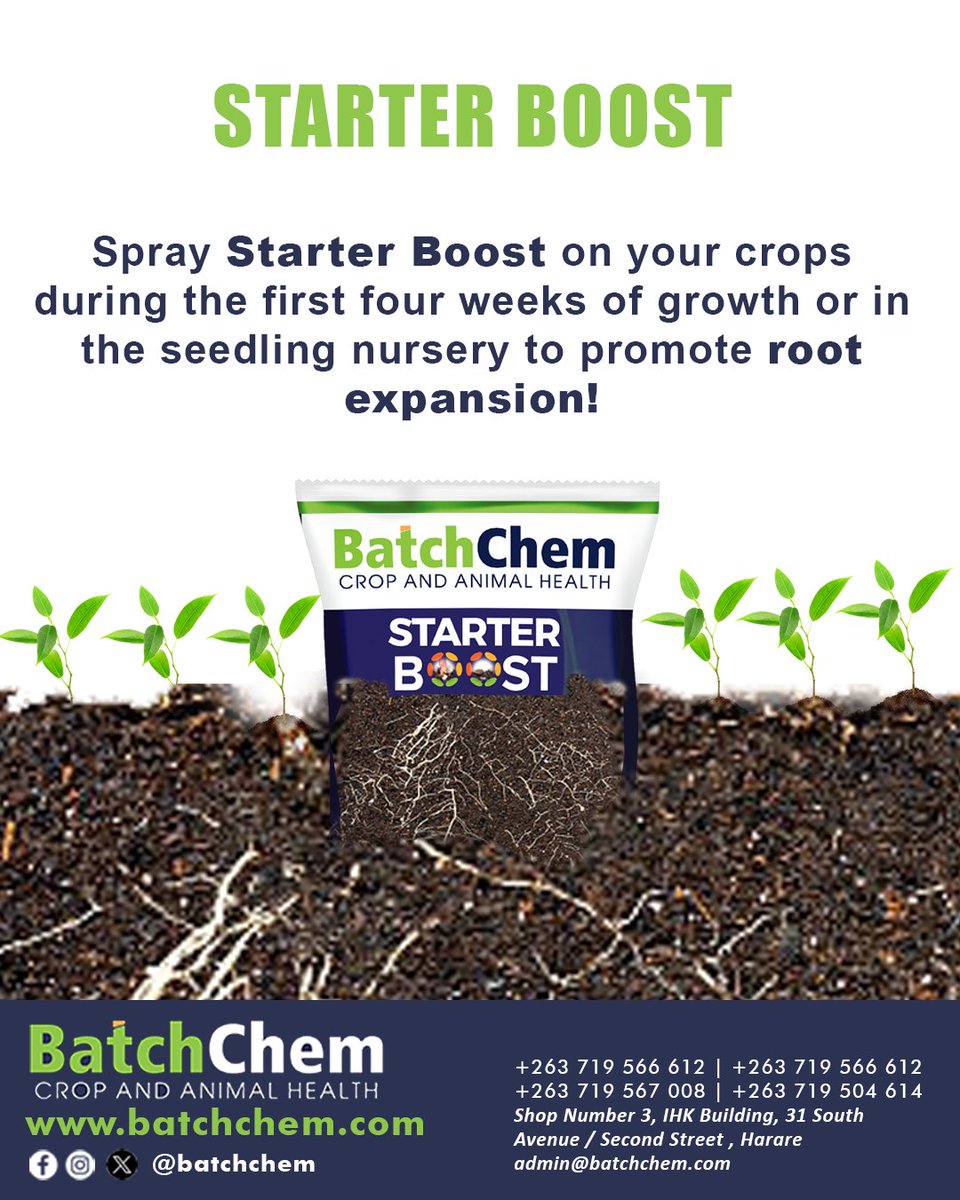 Starter Boost (NPK: 10 54 10) , The Foundation Of All Crops!! 📷
📷 Chat with us on WhatsApp: wa.me/263719566612
📷 31 South Avenue/Second street Harare: Shop Number 3, IHK Mall labeled Wakulima right opposite NATIONAL CARPETS &amp; CURTAINS.