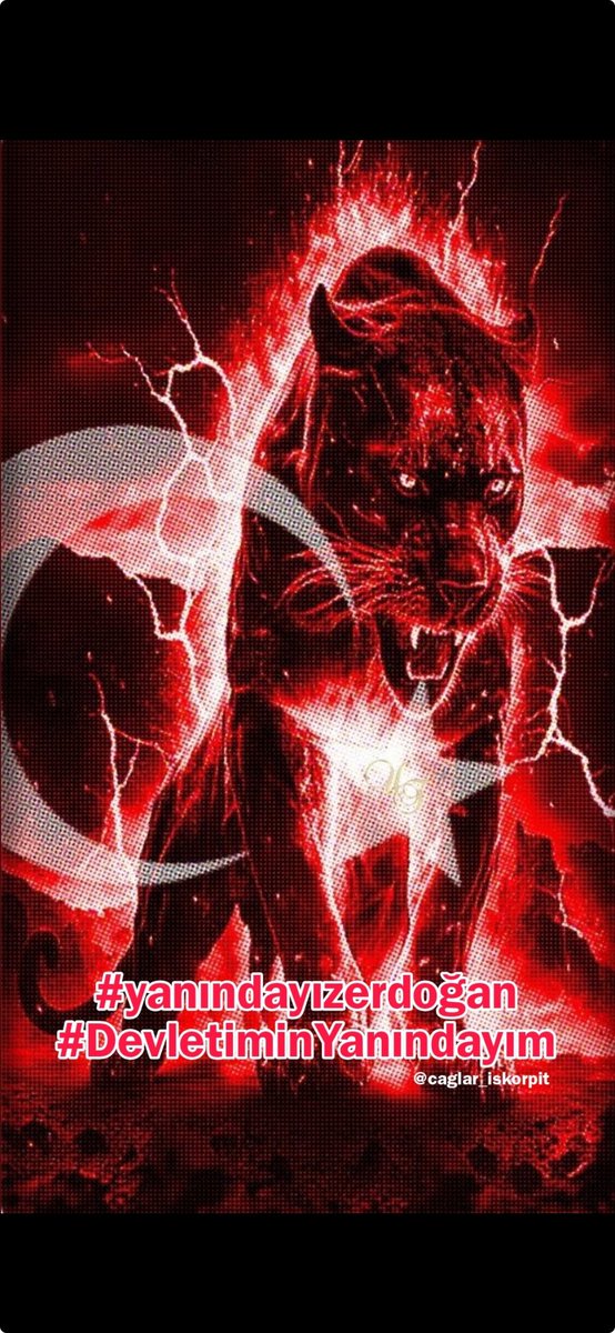 Suzan Çevik (@suzanevik8) on Twitter photo 