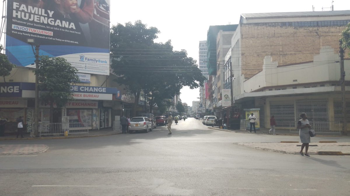 The Elephant tweet media