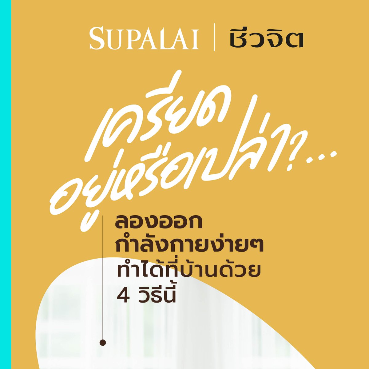 supalaiplc's tweet photo. แต่ละวันเราอาจเจอความวิตกกังวล ความเครียด ไม่ว่าจะเป็นการทำงาน การเงิน ความสัมพันธ์ แต่รู้ไหมว่า ความเครียดเหล่านี้สามารถแก้ไข ได้ด้วยวิธีง่ายๆ เช่น ออกกำลังกาย ใช้เวลาสั้นๆ ทำตามง่าย จาก #ชีวจิต มาฝาก
#SupalaiCreatorHub #Supalai #BuiltForRealLife #iCreator #SupalaixCheevajit https://t.co/eJvmBgqBAn