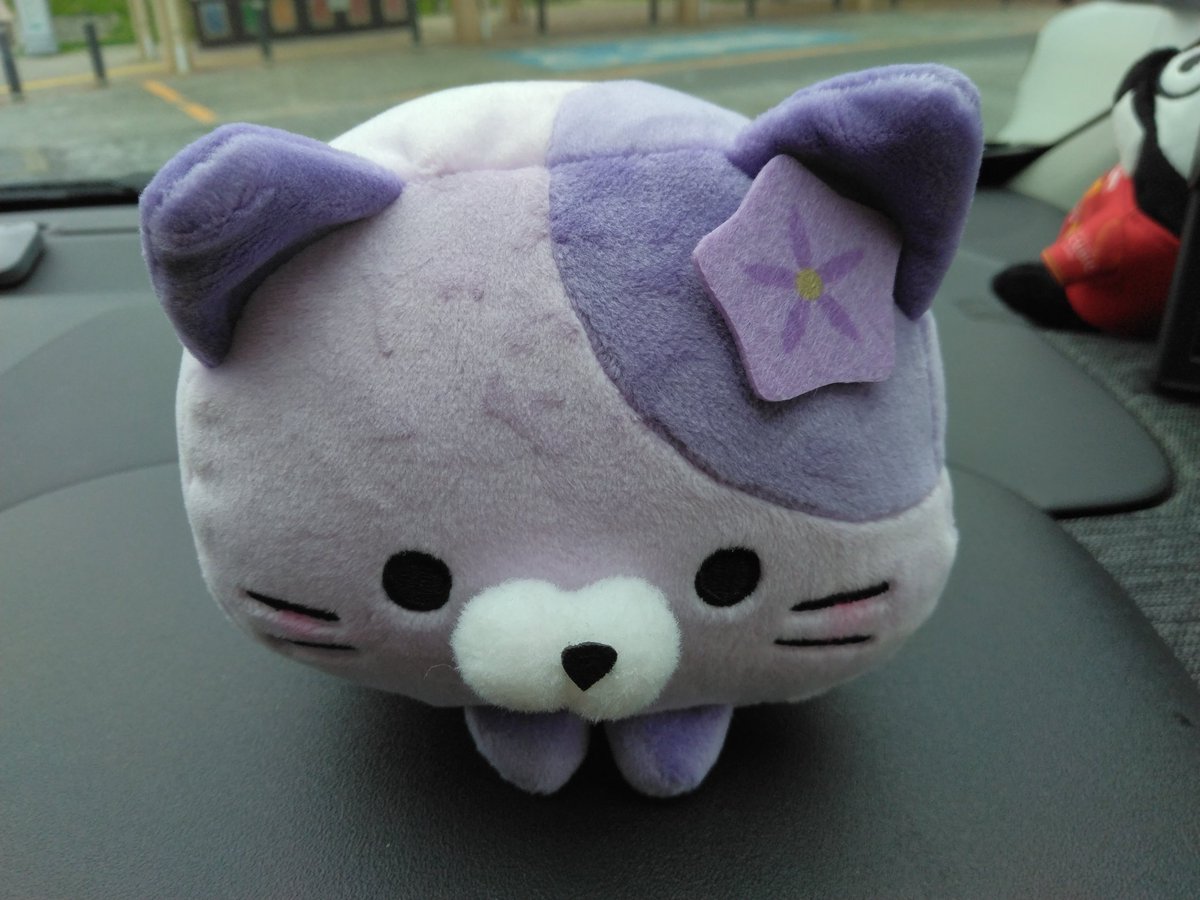 ちょ、おま、なんでそんなとこ隠れてたにゃん（➰〰➰）ﾉ #なすにゃん