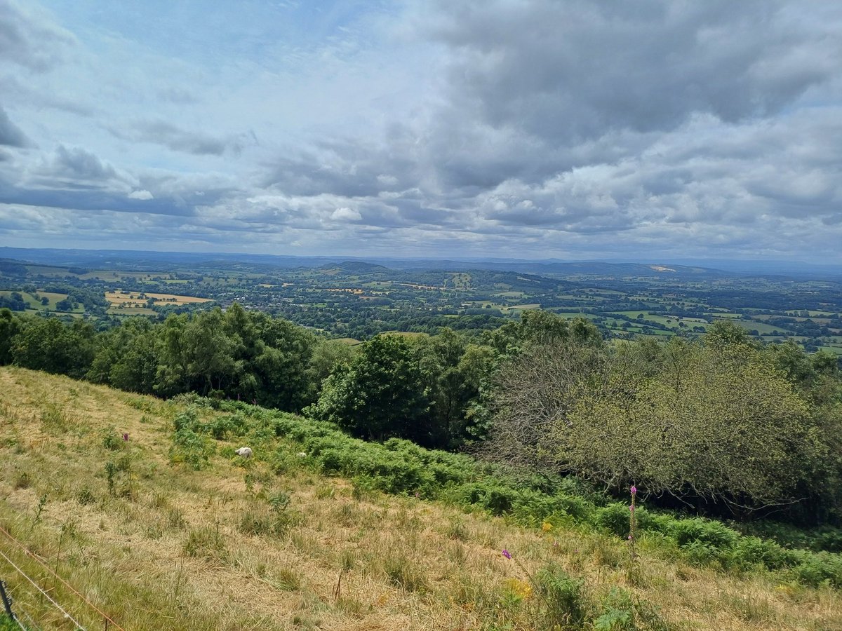 Andrew Bell (@andrewbell1970) on Twitter photo A glorious day out to the Worcestershire Beacon 425m above sea level. Just a short walk from the carpark brings you to the summit & impressive views in all directions. It is a great location to spend a couple of hours & enjoy the ☀️ <a href="/alex_staniforth/">Alex Staniforth</a> <a href="/LDWA1/">The Long Distance Walkers Association</a> <a href="/MuirJonny/">Jonny Muir</a> A glorious day out to the Worcestershire Beacon 425m above sea level. Just a short walk from the carpark brings you to the summit & impressive views in all directions. It is a great location to spend a couple of hours & enjoy the ☀️ <a href="/alex_staniforth/">Alex Staniforth</a> <a href="/LDWA1/">The Long Distance Walkers Association</a> <a href="/MuirJonny/">Jonny Muir</a>