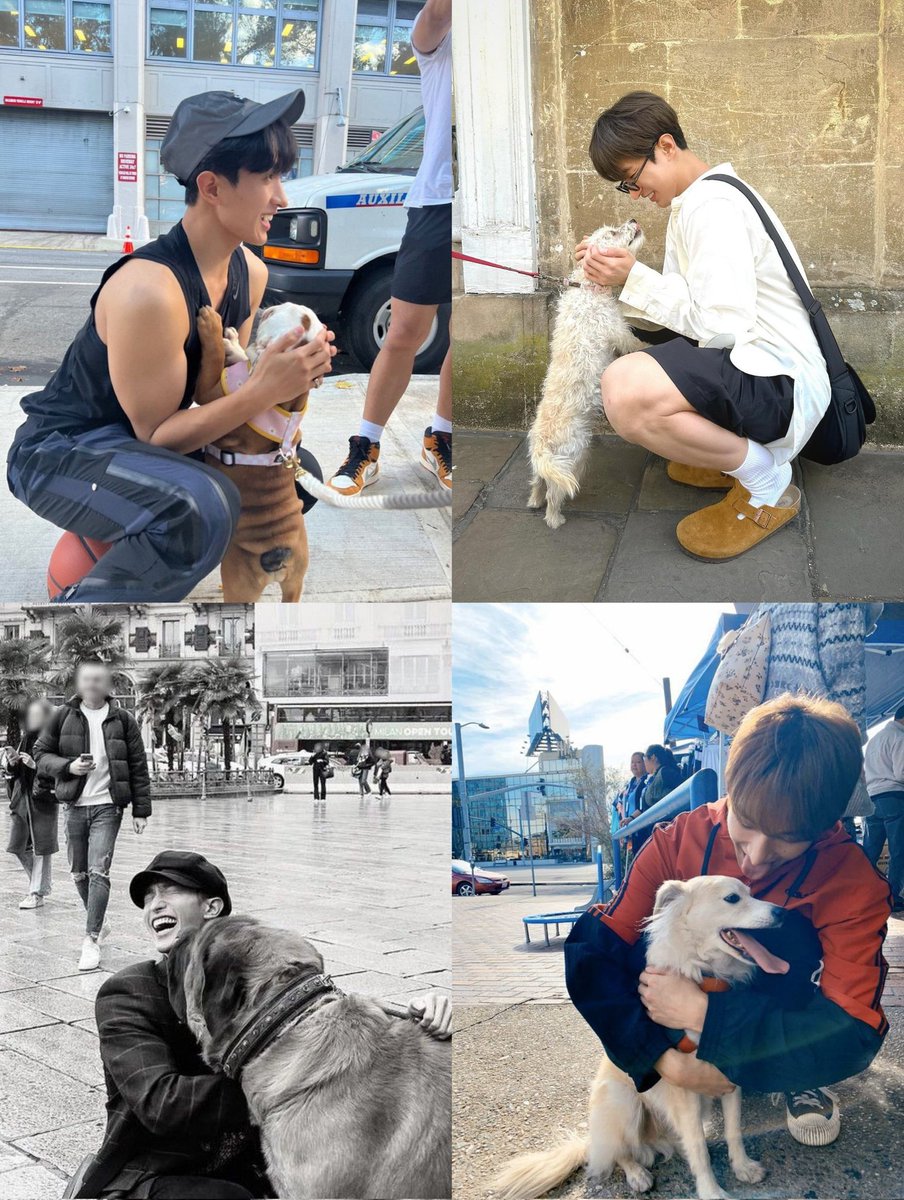 kyeomiedaily's tweet photo. the way dokyeom crouch down everytime he sees a dog 🐕🥹 #도겸 https://t.co/zOvfiDVBFr