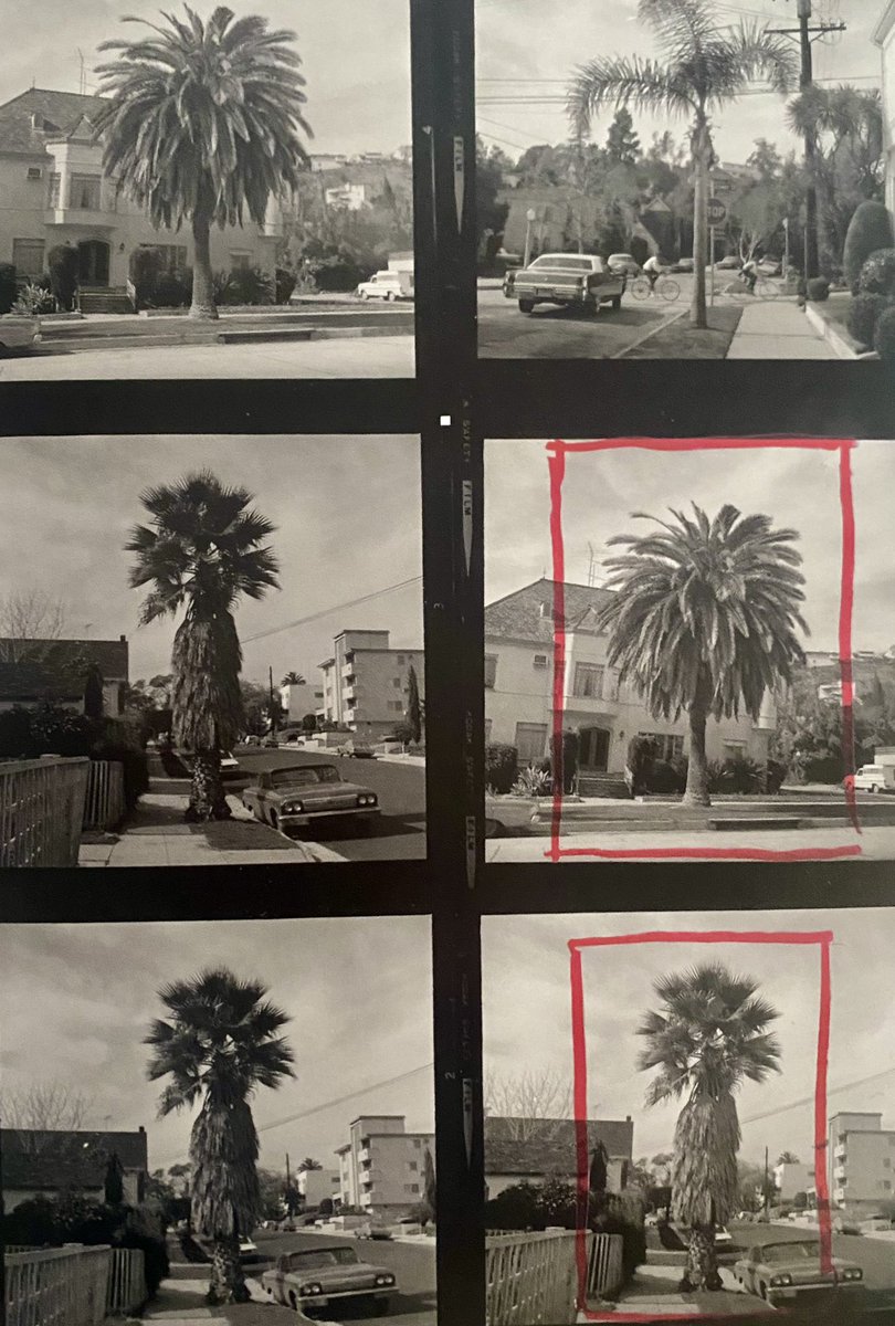 jvrlwg's tweet image. Martes para elegir el encuadre más atractivo para aquello que te propongas #contactsheet by #EdRuscha