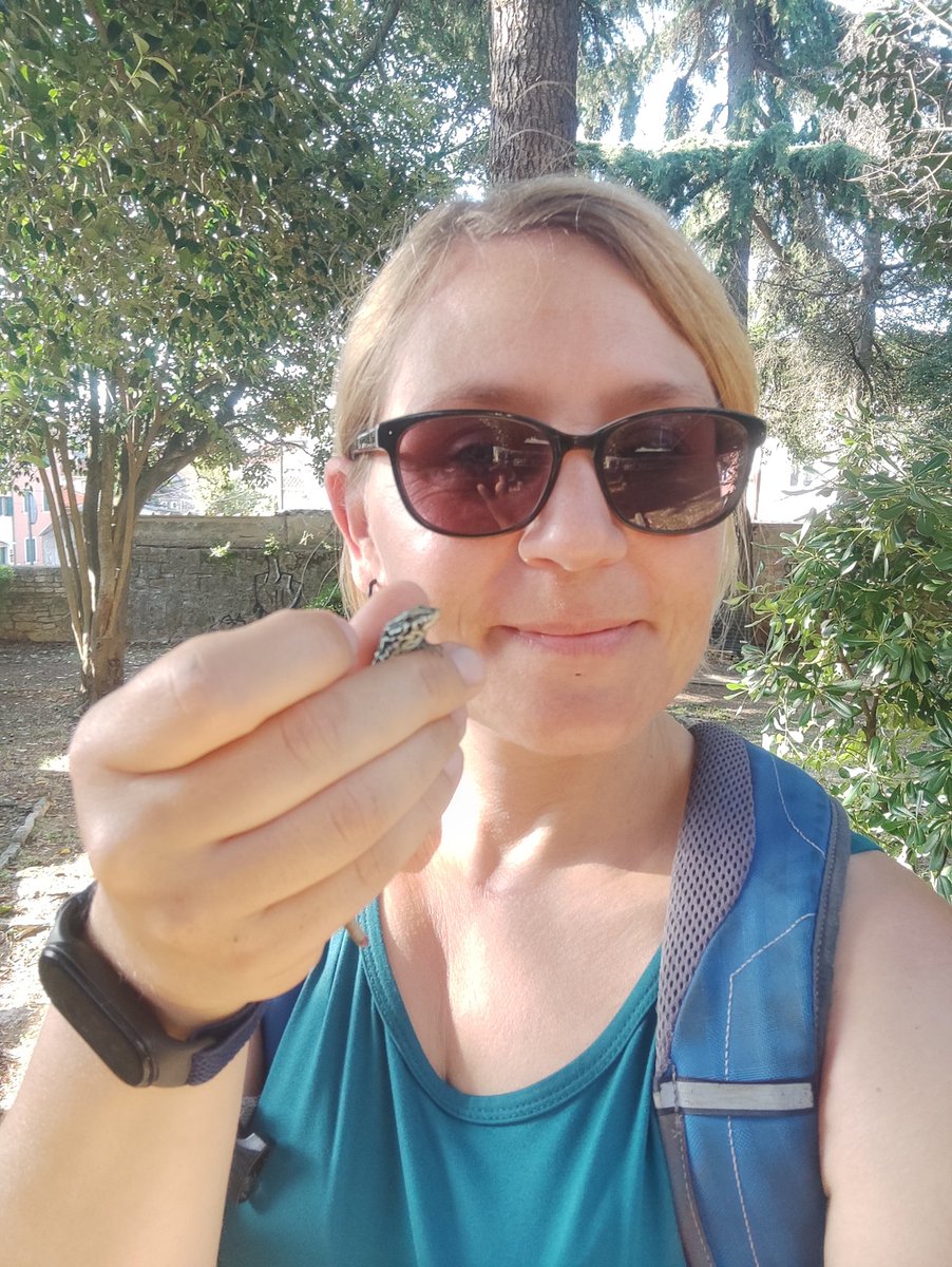 Dr Rebecca Rimbach | urban-squirrel.bsky.social tweet media