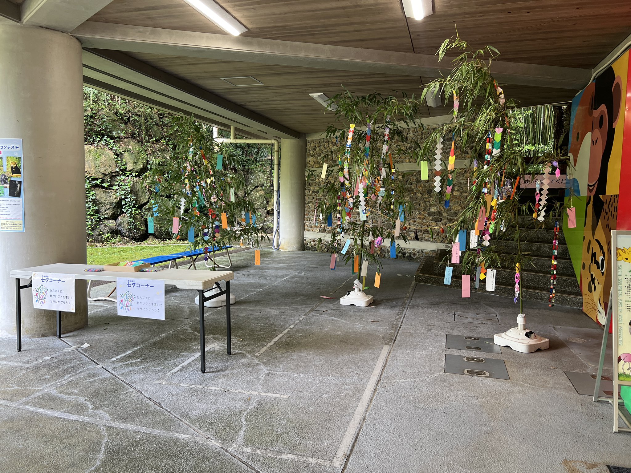 ハシビロコウの帽子☆動物園鳥園植物園コスプレパーティー 勿体なく