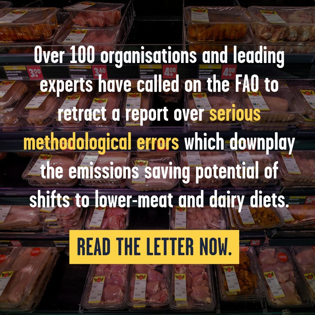 Feedback (@feedbackorg) on Twitter photo The <a href="/FAO/">Food and Agriculture Organization</a>’s recent Pathways report, launched at COP28, contains major errors that downplay the huge emissions saving potential of lower-meat and dairy diets – an embarrassing error, or bowing to the livestock industry? 👀
Read our new blog: buff.ly/3xDtWfk The <a href="/FAO/">Food and Agriculture Organization</a>’s recent Pathways report, launched at COP28, contains major errors that downplay the huge emissions saving potential of lower-meat and dairy diets – an embarrassing error, or bowing to the livestock industry? 👀
Read our new blog: buff.ly/3xDtWfk