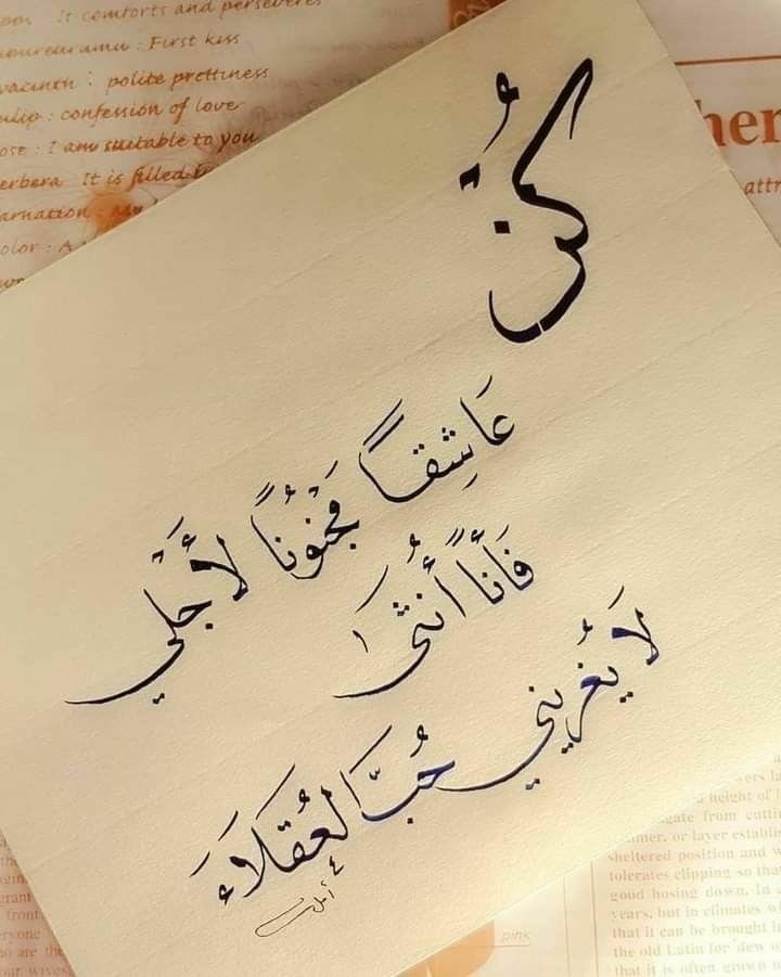 وفي النهاية يُوجد شخص يراك مبهر جداً وبدون أدنى مجهود منك 🦋💛 .