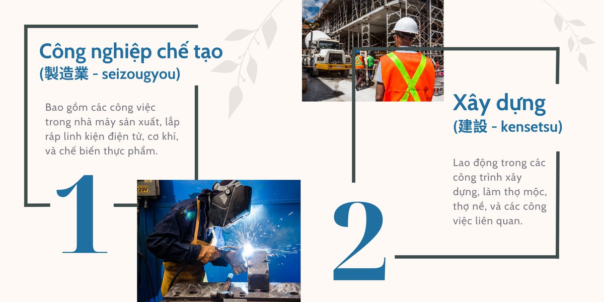 OhayHeX's tweet photo. Ngành nghề mà người Việt Nam xuất khẩu lao động sang Nhật Bản thường làm việc
#xuhuong #viral #fyp #tiengnhat  #hoctiengnhatmoingay #hoctiengnhat #learning #learnjapanese #japanese #StudyWithMe #OhayHe #OpenIdeas https://t.co/cG5rNq02RE
