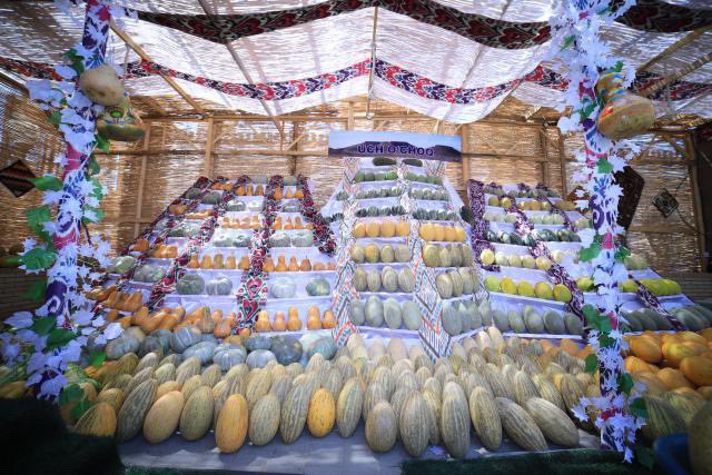 Uzbekistan Tourism Ambassador tweet media