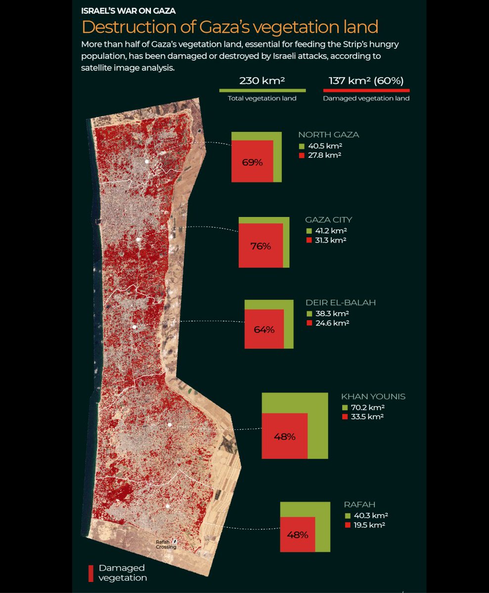 DrMadsGilbert's tweet photo. How israel destroyed Gaza´s ability to feed itself
At the start of summer, Gaza's fields are usually bursting with ripening crops and fruits of all colours, scents and sizes.

But, nearly nine months into Israel’s war on Gaza, abundant harvests have given way to devastation and a dire humanitarian crisis.

A UN report says 96 percent of Gaza’s population is food insecure and one in five Palestinians, or about 495,000 people, is facing starvation.

Satellite images analysed by Al Jazeera's digital investigation team, Sanad show that more than half (60 percent) of Gaza's farmland, crucial for feeding the war-ravaged territory’s hungry population, has been damaged or destroyed by Israeli attacks.

Israel has killed at least 37,900 people and injured 87,000 others in bombings, by destroying healthcare that could have saved them, and by starvation.

North to south, nowhere and nobody has been spared.

https://t.co/rRxBVTjQHd

North Gaza
In Beit Lahiya, once known for plump, juicy strawberries that locals fondly called "red gold", Israeli bulldozers and heavy machinery have systematically razed fields, reducing them to dirt.

Before the war, Gaza's strawberry industry employed thousands of people. Seeding and planting began in September, with harvesting from December through March.

Gaza City
Thriving garden patches and back-yard fruit trees once dotted Gaza City, home to about a third (750,000) of Gaza’s 2.3 million population before the war.
The olive tree is deeply beloved in Palestine, symbolic of Palestinian resilience against Israeli occupation.

During one short pause in fighting from November 22 to December 1, Palestinian farmers ran to harvest their olives and extract oil, because they do not know any other way to live, and because they needed the harvest.

Olive cultivation is crucial in the Palestinian economy and is used for everything from oil to table olives to soap.

South of Gaza City is Zeitoun, a neighbourhood named after the Arabic word for olive. Before and after satellite images show southern Zeitoun where nearly every last bit of greenery has been wiped out.

Deir el-Balah
Its very name meaning "House of Dates", the central governorate of Deir el-Balah is one of Gaza’s largest agricultural producers, known for its oranges, olives and - of course - dates.

The date harvest typically begins in late September and continues through the end of October.

Khan Younis
Khan Younis in the south used to produce the bulk of Gaza’s citrus, including oranges and grapefruits.

With its fertile soil and long hours of Mediterranean sunshine, it has the ideal climate as well as lots of space, being Gaza’s largest governorate - about 30 percent of the Strip’s 365sq km (141 sq miles).

Rafah
Rafah is Gaza’s southernmost district, with a pre-war population of about 275,000 people.

Rafah is also the name of the crossing with Egypt which used to be a vital link between Gaza and the rest of the world before it was destroyed by Israel in May.

In the southeast of Rafah is the Karem Abu Salem (Kerem Shalom) crossing where goods grown or produced in Gaza were shipped out of the territory.

Before and after satellite imagery shows how Israeli forces have flattened vital fields in eastern Rafah

Israel has imposed a land, air and sea blockade on Gaza since 2007 but the ingenious farmers of the enclave still managed to build a vibrant, mostly subsistence, agricultural sector before Israel's latest assault.

Faced with a lack of inputs because Israel controlled imports and exports, the farmers made it work anyway.

Like Mohammed Abu Ziyada, 30, who could not be more proud of the first crop of red corn he grew using seeds from China.

Abu Ziada, who farms in Beit Lahiya, decided to try red corn because it needs less water and fewer agricultural inputs than other corn varieties...

Continued: https://t.co/rRxBVTjQHd