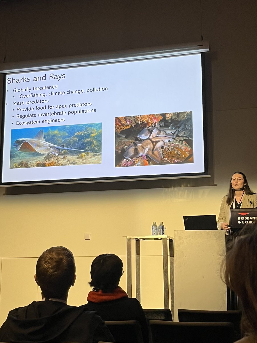 Emma Kerr headlined the #SharkParty with a great look at the taxonomy and gene functions of the skin microbiomes of South Australian shark species. 
<a href="/AUSSOCMIC/">ASM</a> #ASM2024