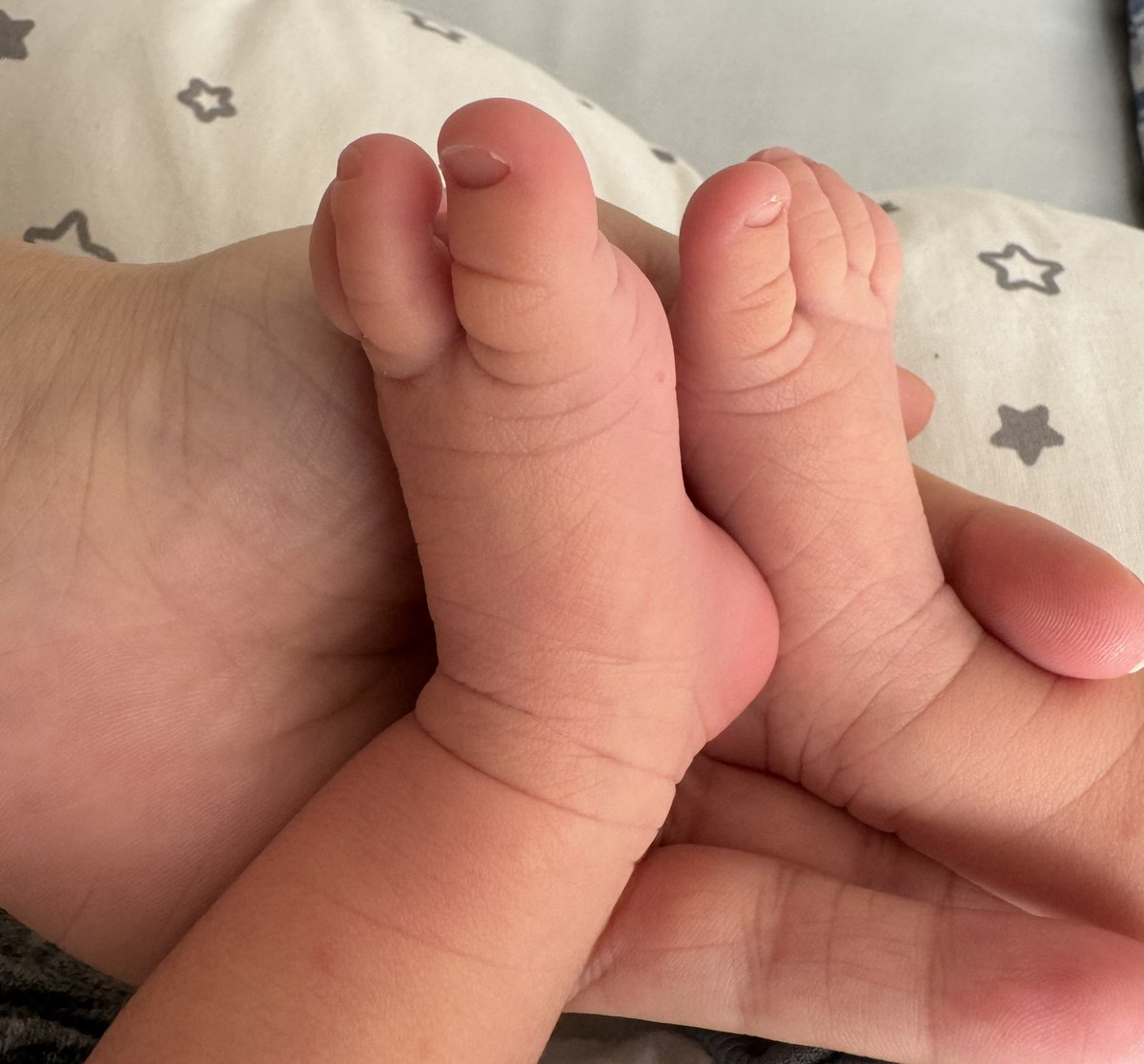 Elif Nur Firat-Karalar tweet media