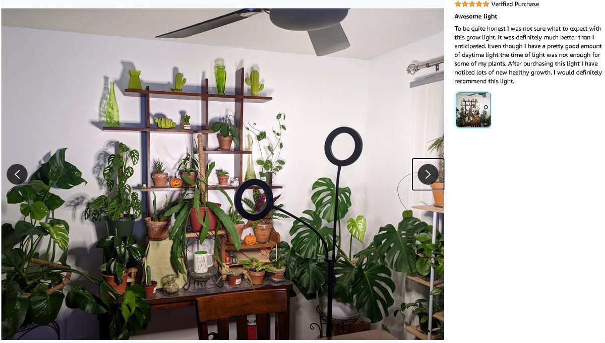 ✨ Customer Review ✨
🌱 If you’re also looking for the best choice to promote indoor plant growth, give our new LED grow lights a try!
#Glowrium #PlantLovers #IndoorGarden #GrowLights #PlantStand #plantcare #sustainable #plantlight #indoorplants