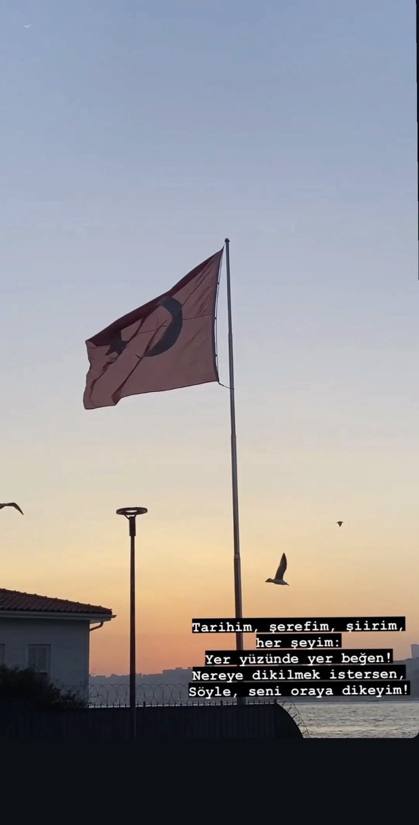 𝓓𝓪𝓶𝓵𝓪 𝓴𝓪𝔂𝓪 (@damla_ky12) on Twitter photo 