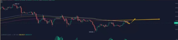 coinall100kr's tweet photo. BTC:
64500까지 계속 오를 것으로 예상됩니다. 어제 시간대별로 63500을 돌파��으며, 62100-60000 중간 구간으로 되돌아가지 않았습니다. 소규모 W 바닥이 이미 형성되었고, 이 밑으로 내려가기는 힘들어보입니다. 숏보다는 롱자리입니다.

ETH:
시간대별로 3425에서 반등이 있었지만, 이 위치는 저항선이기 때문에 몇 번의 진동을 겪어야 올라갈 수 있습니다.

알트코인:
어제 상승한 종목들은 대부분 소규모 코인들이었고, 주도주는 움직이지 않았습니다. Ai 섹터는 WLD로 인해 계속 오르지 못하고 있으며, 여전히 자금 부족이라는 오래된 문제에 직면해 있습니다. 

MEME 섹터는 시작 조짐이 있으며, PEPE와 BOME가 소폭 상승하고 있어 최근에 집중적으로 배치할 수 있습니다. 인내심을 가지고 기다려야 하며, 시장이 절망적인 상황에서 기회가 찾아옵니다.

관련 내용은 코인올백 심화방에서!
​https://t.co/1HPLPBe5HG