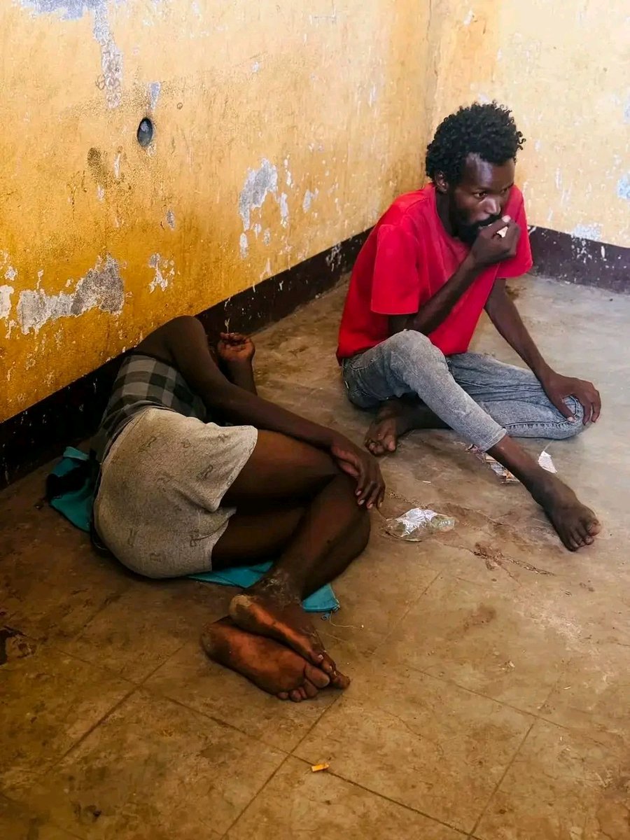 Our brothers in Somaliland shall stop the dictator IOG from using their name and currency in the war he has started in Afar region of Ethiopia. What does Somaliland currncy has to in it. The terrorist Issa are using yr names, yr currency and yr land to disturb Ethiopia🇪🇹