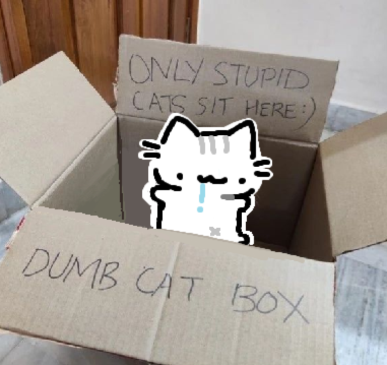 dumb cat