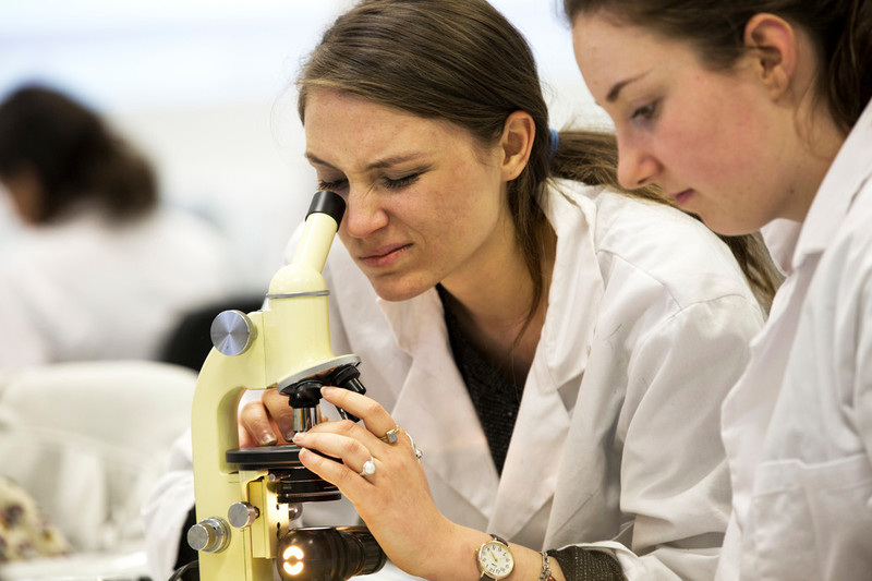 UoA Medicine, Medical Sciences and Nutrition tweet media