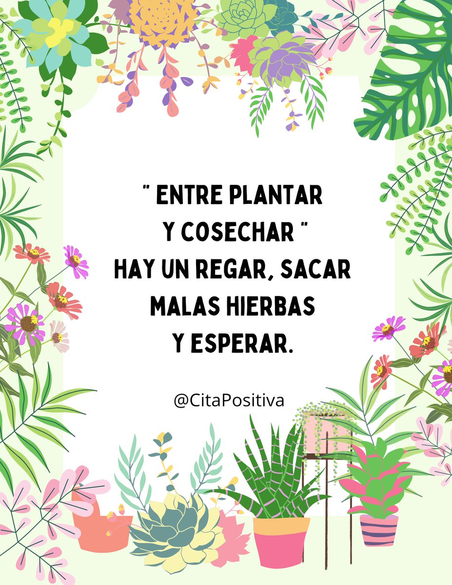 Contacto - Casa Treatment Center for Women, image size:927x1200