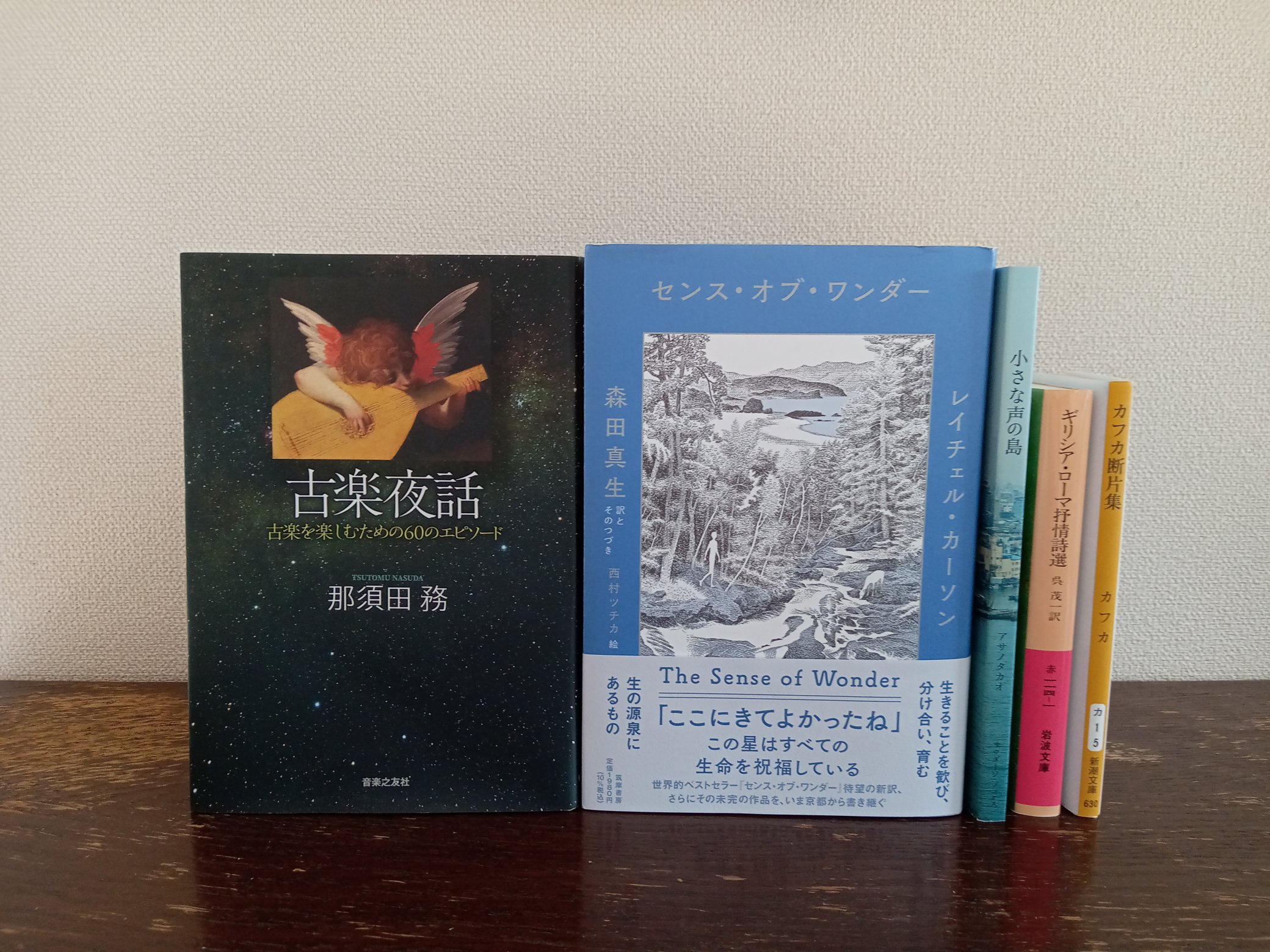 全信頼を寄せる 中古】 南の島へ行きたい ミクロネシア旅する本/早稲田編集 優し その他