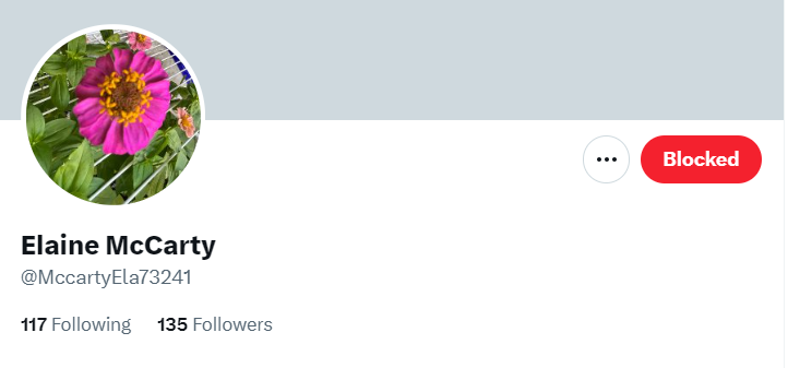 Novelotographer's tweet image. Really, @Elmanc54? 
Is @LeoandLucky369 really your only other account?

Because I can assure you that we have not only been trolled by these two, but also by your THIRD account, @MccartyEla73241.

#ElaineMcCarty #LyingTroll #MultipleAccounts #Socks 

@CzebotarJessie