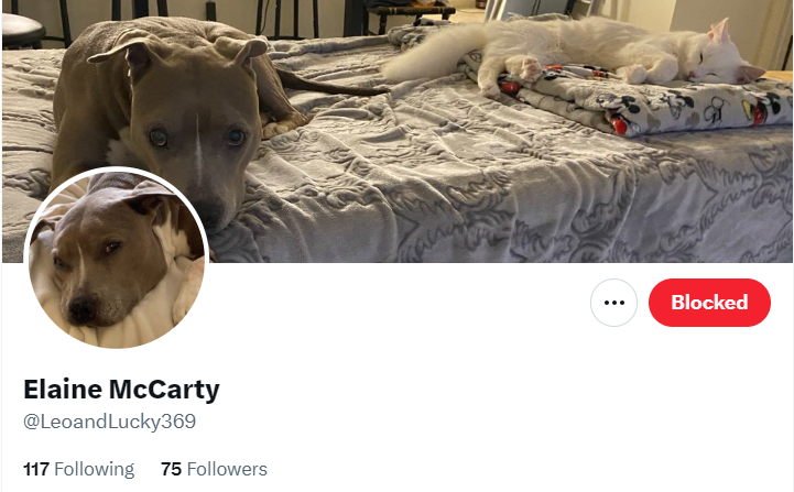 Novelotographer's tweet image. Really, @Elmanc54? 
Is @LeoandLucky369 really your only other account?

Because I can assure you that we have not only been trolled by these two, but also by your THIRD account, @MccartyEla73241.

#ElaineMcCarty #LyingTroll #MultipleAccounts #Socks 

@CzebotarJessie