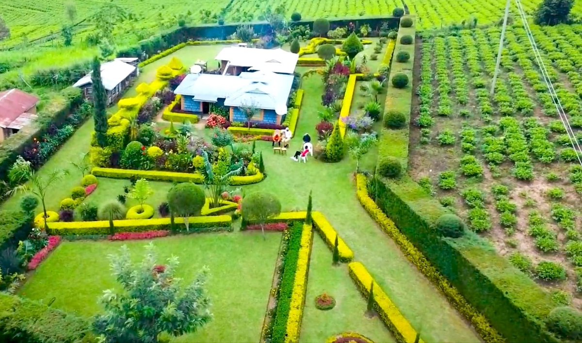 RuthJK_95's tweet photo. @Theoladeledada A land and house like this for my parents🫠🫠 https://t.co/vwI3t3ucNM