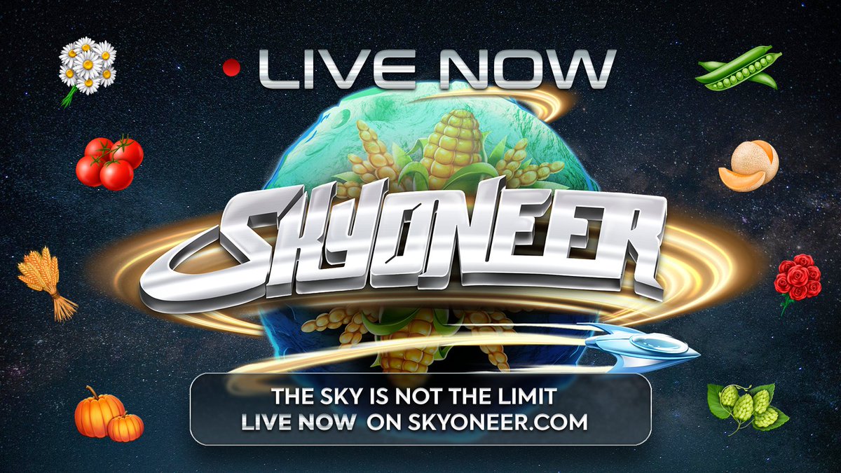 Skyoneer tweet media