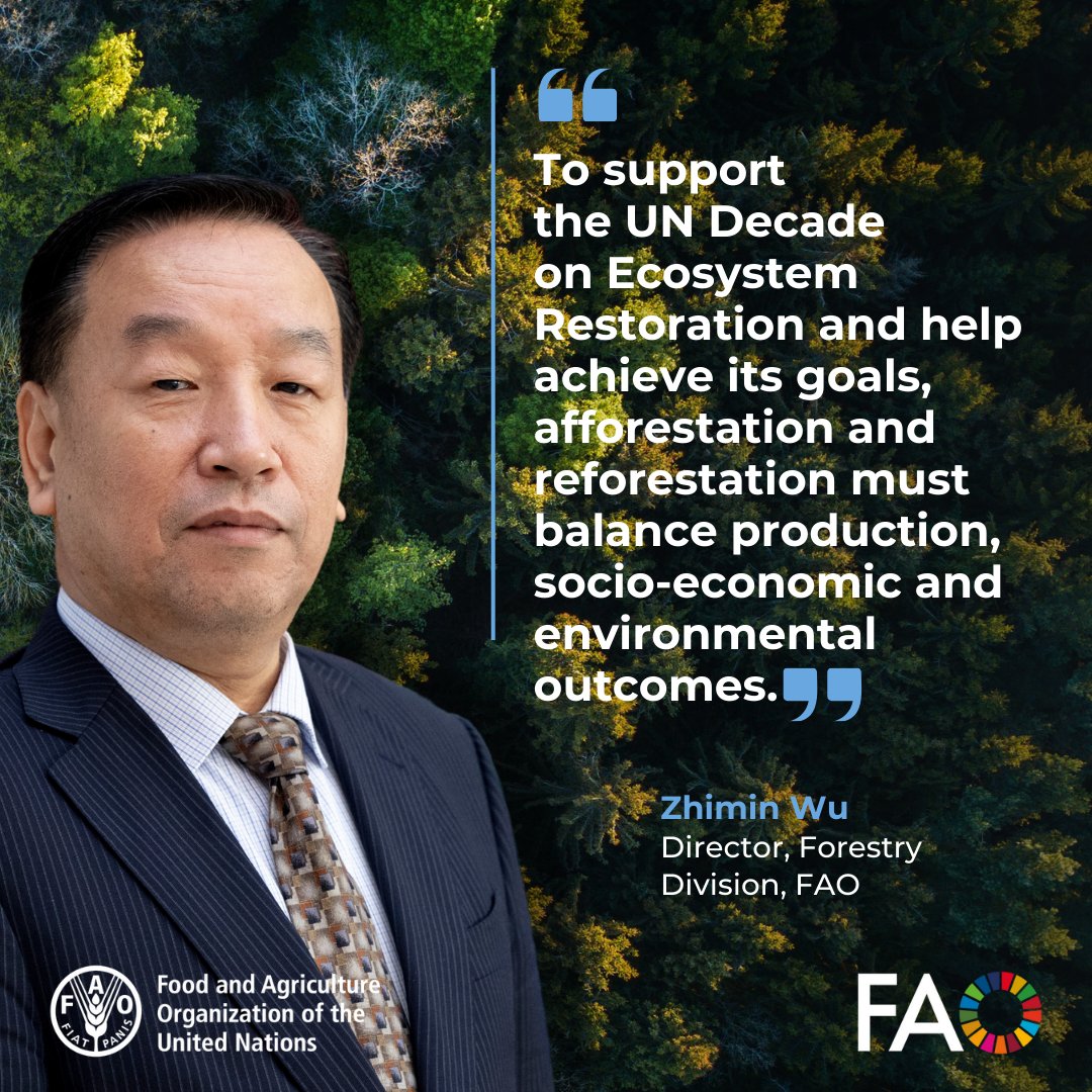 To support the UN Decade on Ecosystem Restoration &amp; help achieve its goals, afforestation &amp; reforestation must balance production, socio-economic &amp; environmental outcomes, <a href="/FAO/">Food and Agriculture Organization</a>’s Zhimin Wu tells International Conference on Afforestation and Reforestation 

#GenerationRestoration