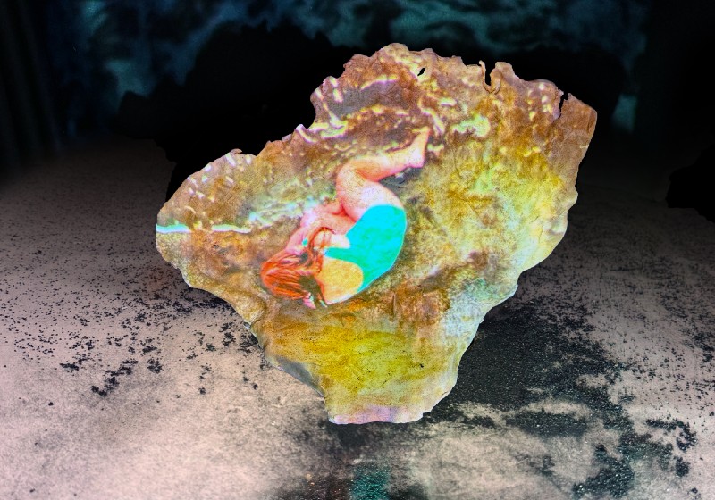 FAHACS's tweet photo. Practice-led Postgraduate Researcher #ClareCarter's exhibition #OurWiderFlesh opens this week in our #ProjectSpace @UniversityLeeds 

3 to 6 July
Free, all welcome!

Find out more about the #exhibition &amp; the artist:

https://t.co/R7lXXrGjLf https://t.co/4GXWqyCFMB