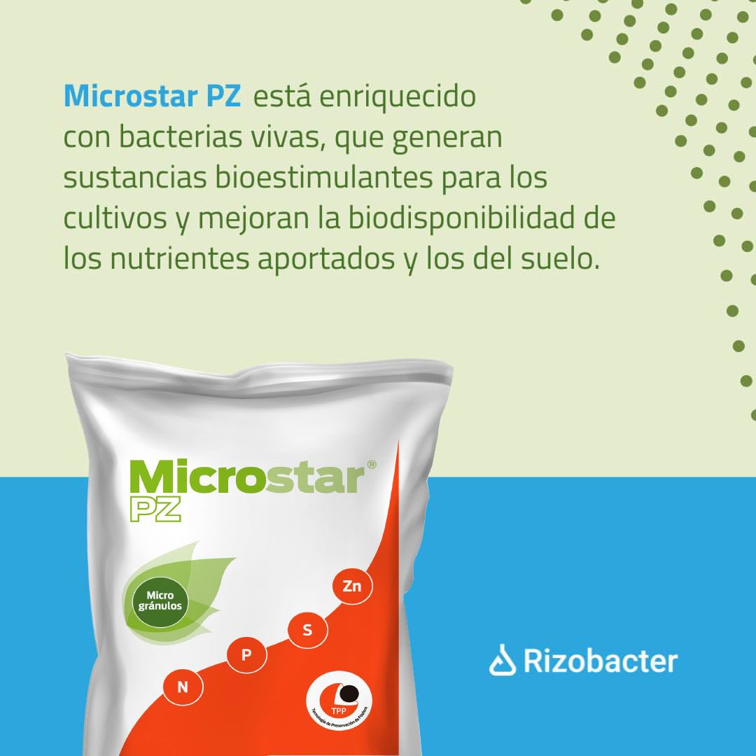 Rizobacter Uruguay tweet media