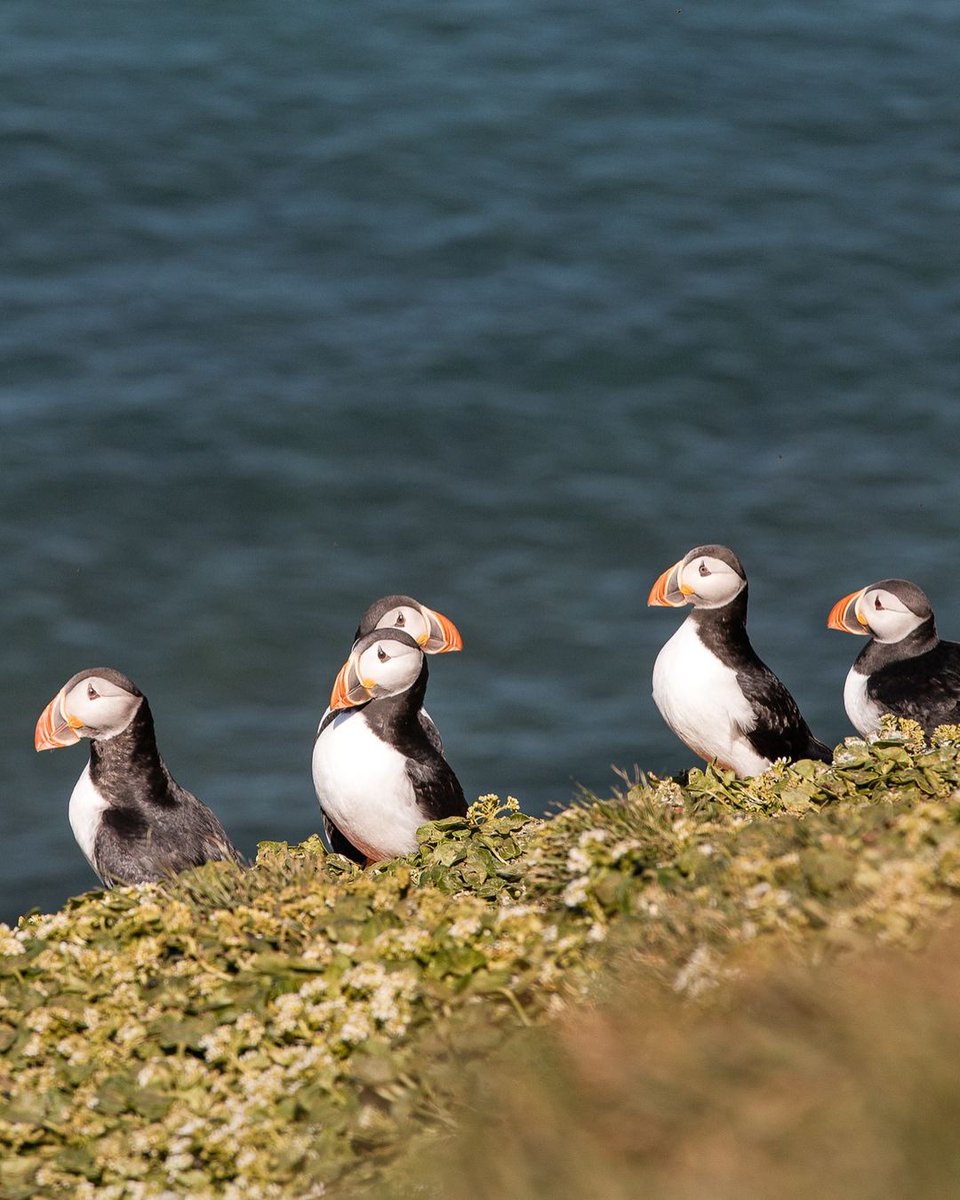 Hapag-Lloyd Cruises tweet media
