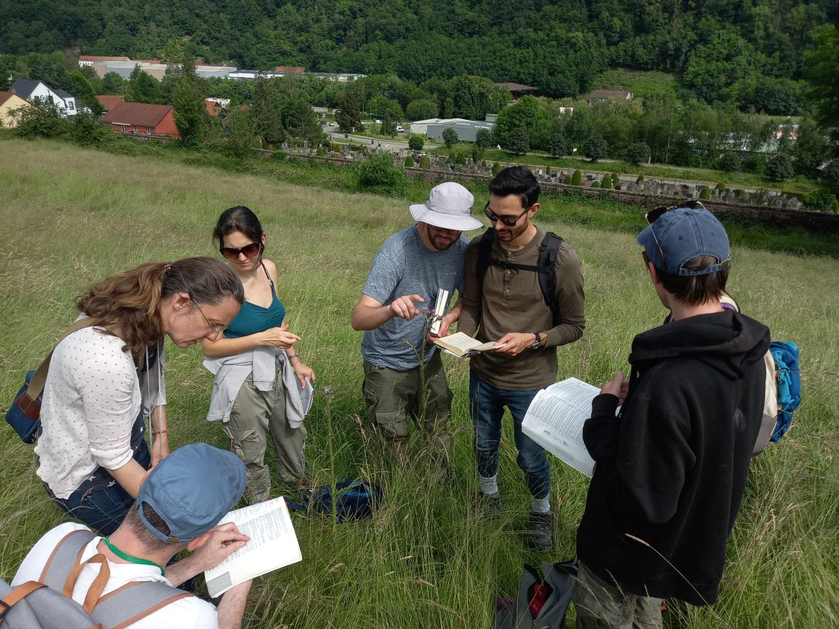 UMR_LIVE's tweet photo. L’atelier BioEco a contribué à 444 nouvelles observations naturalistes en Alsace lors des 24h de la Biodiversité !🌿🦗Ces données enrichiront les BD de l’inventaire du patrimoine naturel, utile pour la prise de décision et les rapportages européens sur le suivi des écosystèmes. https://t.co/0zYdJ08ow6