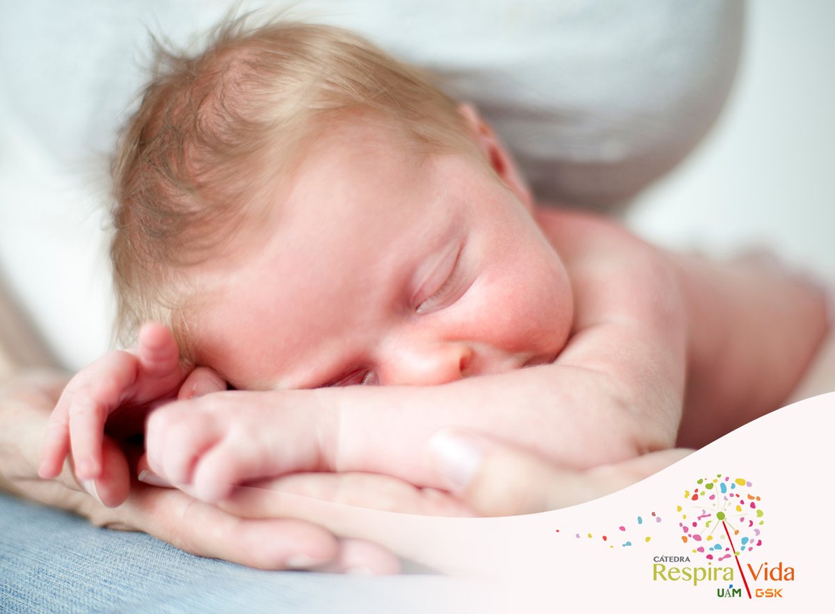 Con motivo de la #SemanaMundialdelaLactanciaMaterna aprovechamos para recordar los múltiples beneficios que esta tiene no solo para el bebé, sino también para la madre 🤱. En el siguiente enlace puedes informarte mejor y descubrirlos 👉acortar.link/nxUQ50