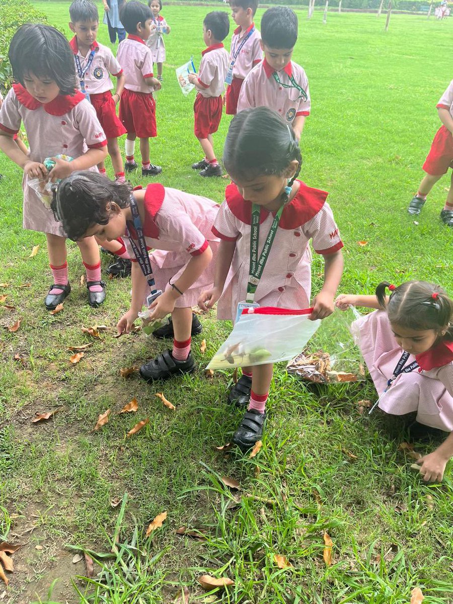 MtAbuSchool's tweet photo. This morning our #IB #PYP #EarlyAges explored #nature &amp; engaged in #ExperientialLearning outside studios. 

They immersed themselves in discovering various trees and flowers, and had a wonderful time collecting natural treasures like fallen leaves, twigs, flowers, and feathers. https://t.co/ZVeHatS2jl